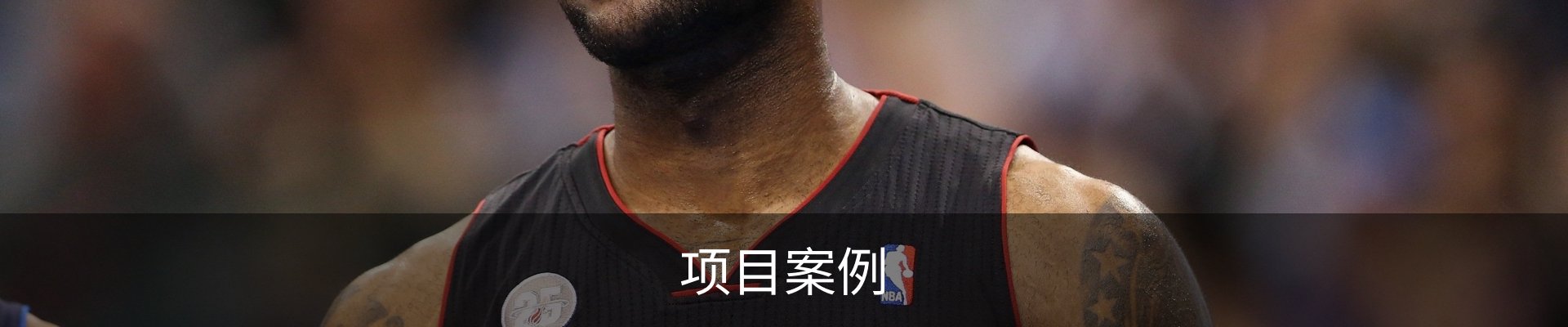 项目案例